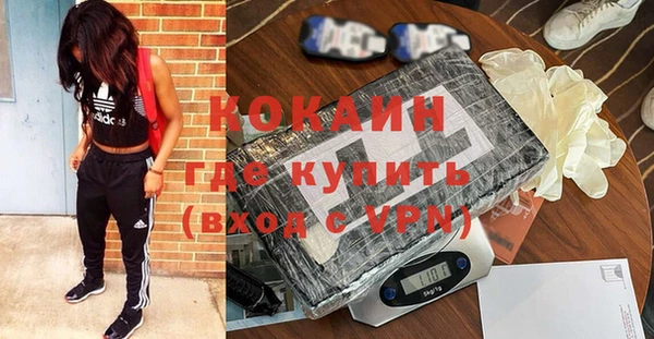 молекула духа Вязьма