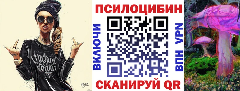 закладка  Меленки  Галлюциногенные грибы Psilocybine cubensis 